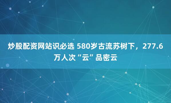 炒股配资网站识必选 580岁古流苏树下，277.6万人次“云”品密云